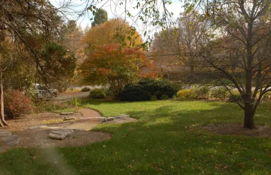 6b6e74c9446e40578877fca69917af16.jpg