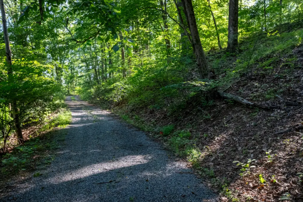 6950 Heards Mountain Road Driveway 1